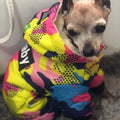 Ropa para perros, abrigo cálido de invierno a prueba de viento para perros, ropa gruesa para mascotas, disfraz, mono, sudaderas con capucha, chaqueta, suministros para mascotas perros