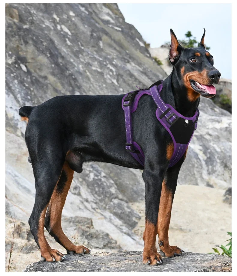 Arnés para Mascotas Multifuncional de Nailon Reflectante, Arnés Ajustable para Perros, Arnés de Pecho para Perros con Control Cómodo y Sin Tirones, Suministros para Mascotas