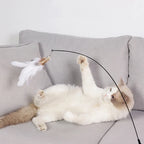 Palo Teaser con ventosa para gatos, campana de plumas resistente a las mordeduras, juguetes interactivos para gatos, cabeza de repuesto, suministros de energía para mascotas