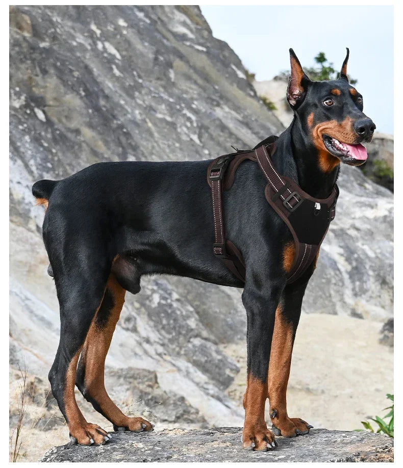 Arnés para Mascotas Multifuncional de Nailon Reflectante, Arnés Ajustable para Perros, Arnés de Pecho para Perros con Control Cómodo y Sin Tirones, Suministros para Mascotas