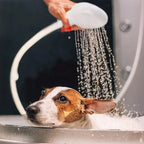 Ducha de baño para mascotas, ducha multifuncional para perros y gatos, pulverizador de jardín fácil de baño, suministros de herramientas de aseo para limpieza de mascotas