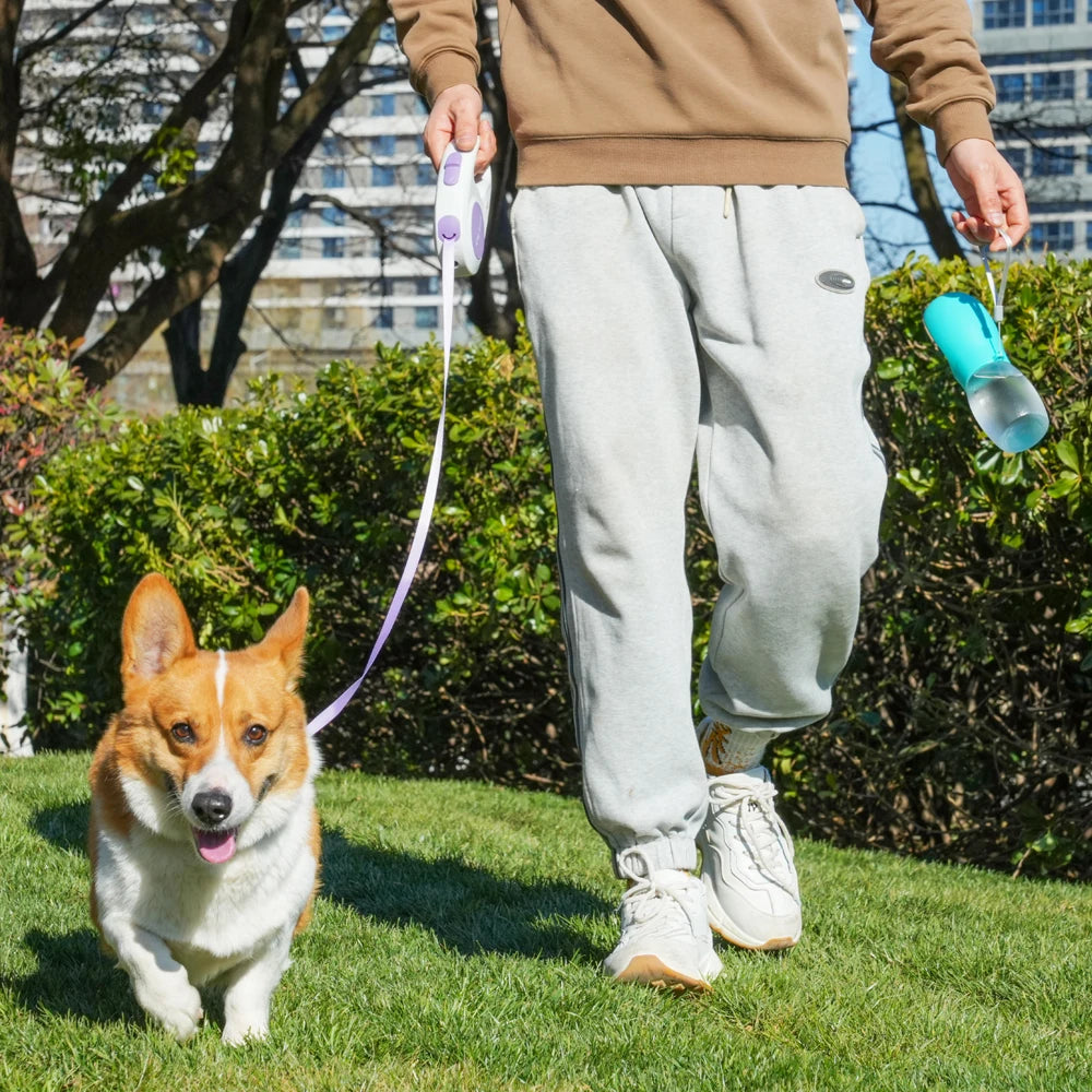 Botella de agua para perros y mascotas, cuencos para beber para cachorros de 300ML, para perros pequeños y medianos, gatos, senderismo, alimentador portátil para gatos, suministros Golden Retriever