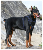 Arnés para Mascotas Multifuncional de Nailon Reflectante, Arnés Ajustable para Perros, Arnés de Pecho para Perros con Control Cómodo y Sin Tirones, Suministros para Mascotas