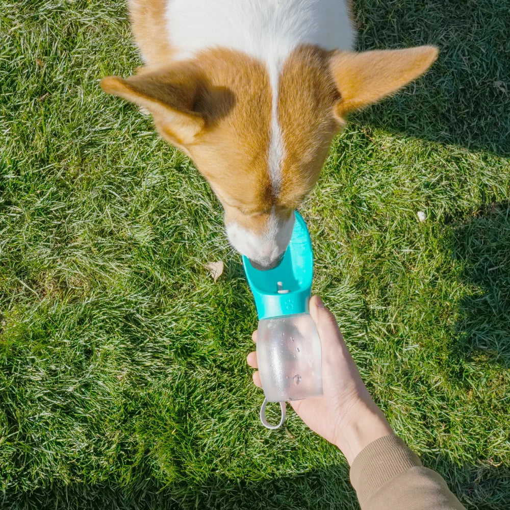 Botella de agua para perros y mascotas, cuencos para beber para cachorros de 300ML, para perros pequeños y medianos, gatos, senderismo, alimentador portátil para gatos, suministros Golden Retriever